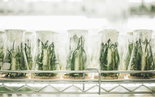 Understanding the Science Behind Hair Growth & the Possibilities for Men