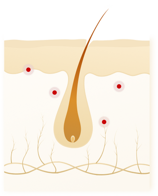 Group 448.png__PID:5757ee59-af29-4829-bad3-9519e13a6ba6